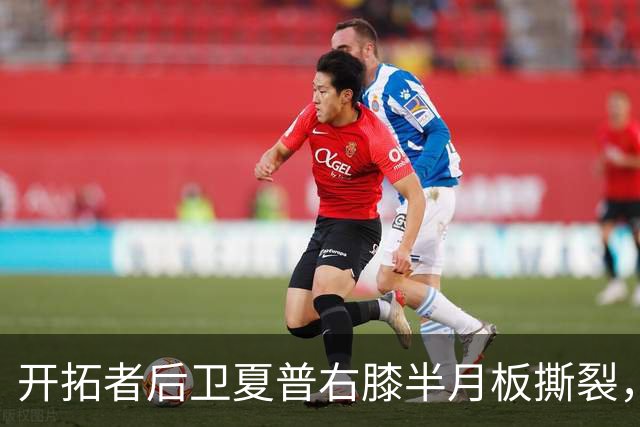 开拓者后卫夏普右膝半月板撕裂，预计缺席六个月